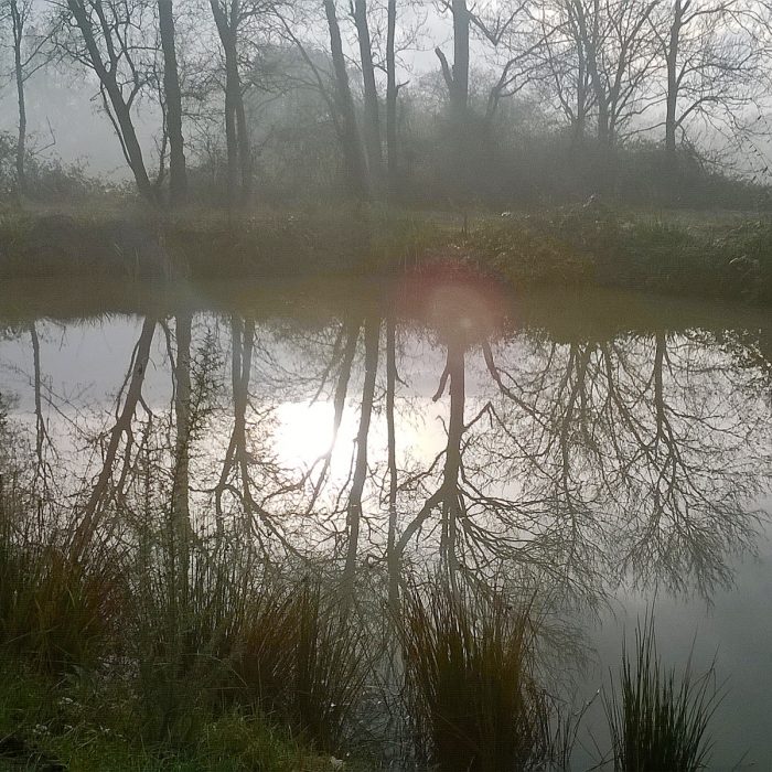 Rectory barn Farm - Lakeside